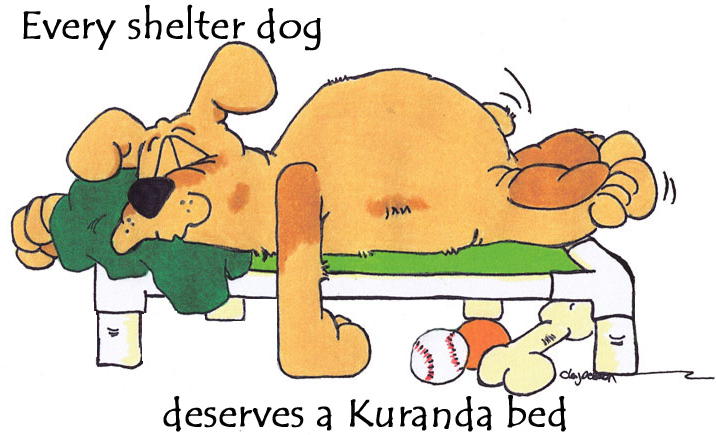 Donate a Bed